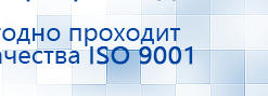 Пояс электрод купить в Сыктывкаре, Выносные электроды купить в Сыктывкаре, Дэнас официальный сайт denasdoctor.ru